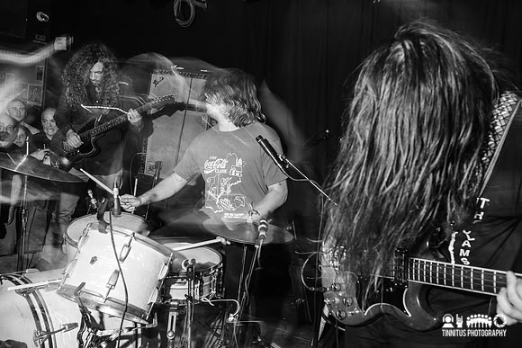 Fuzz in concert