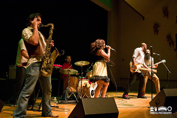 Dengue Fever in concert