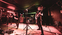 Elder in concert