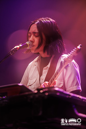 Mini Trees in concert