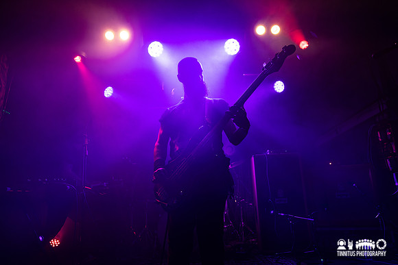 Dvne in concert