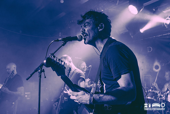 Dvne in concert