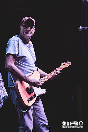 Tobin Sprout in concert