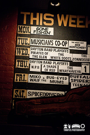 Buffalo Spiders in concert