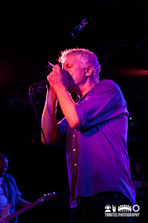 Guided By Voices in concert
