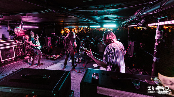 Elder in concert