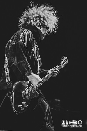 Melvins in concert
