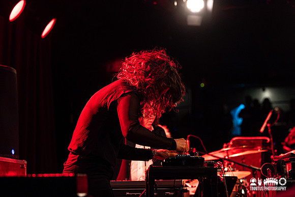 Swans in concert