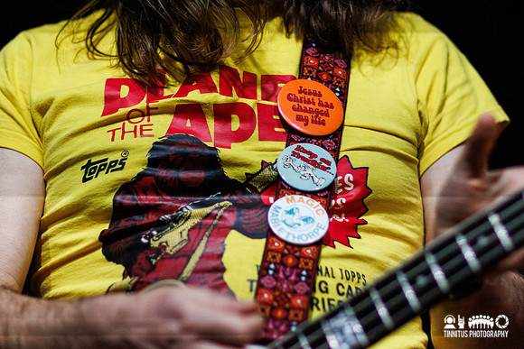 The Bevis Frond in concert