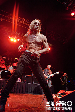 The Stooges in concert
