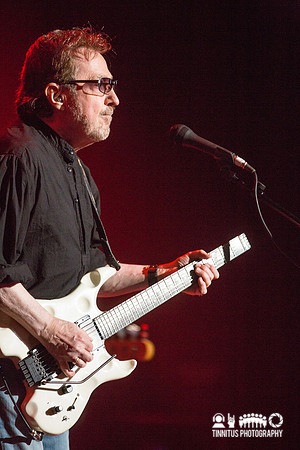 Blue Oyster Cult in concert