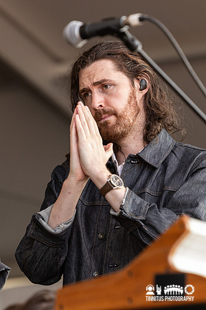 Hozier in concert