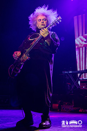 Melvins in concert