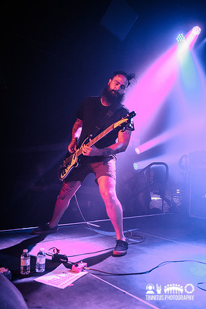 Gozu in concert