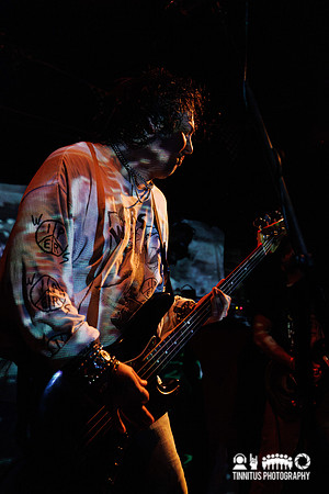 Poison Ruin in concert