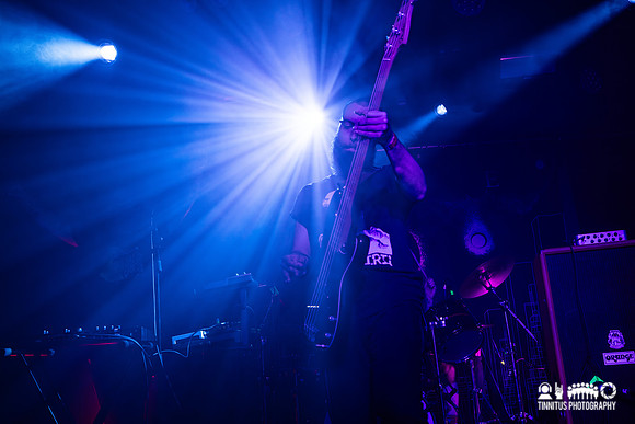 Dvne in concert
