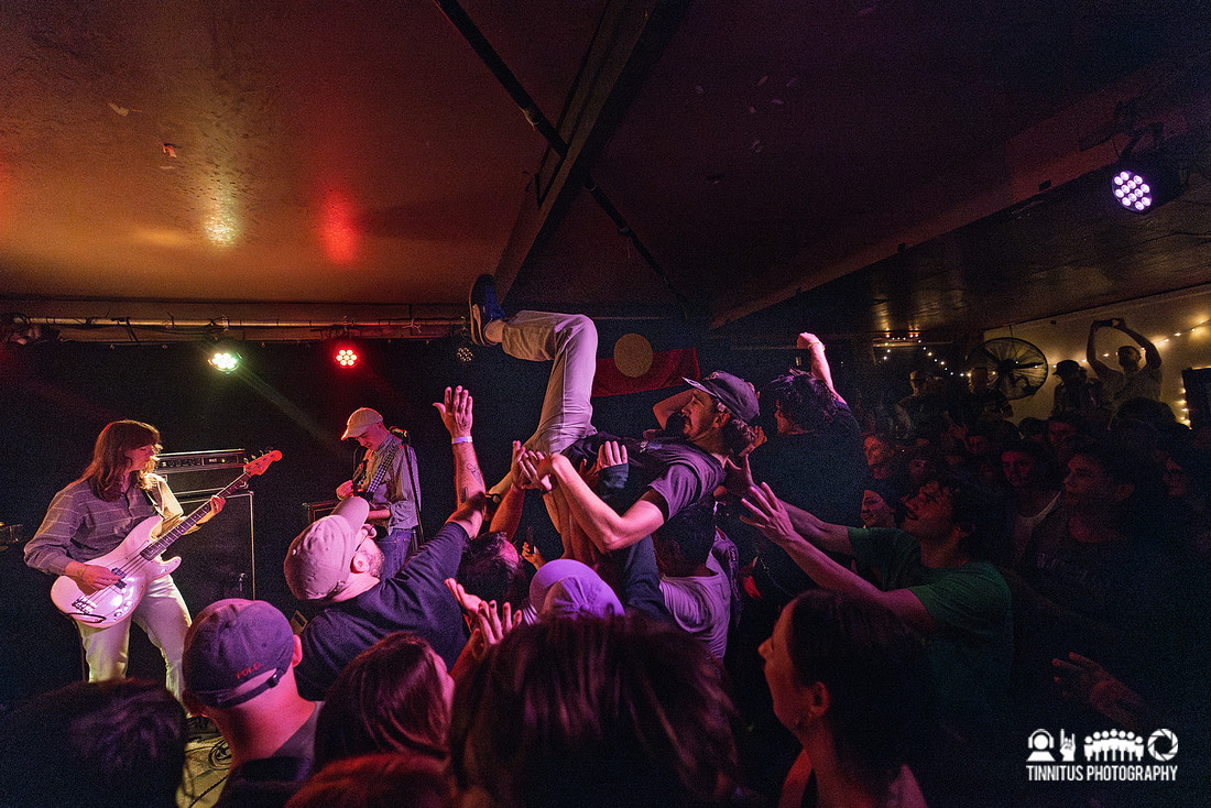 Constant Mongrel in concert