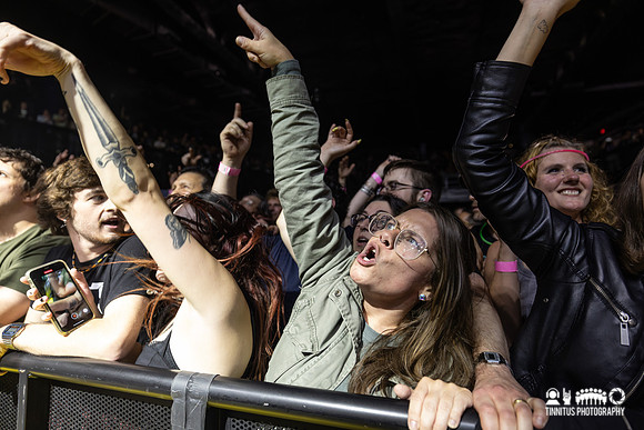 The Hives in concert