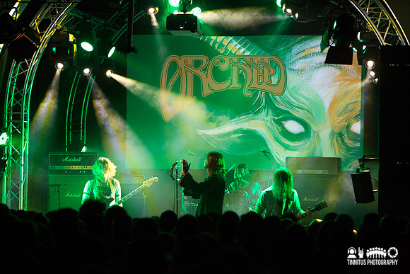 Orchid in concert