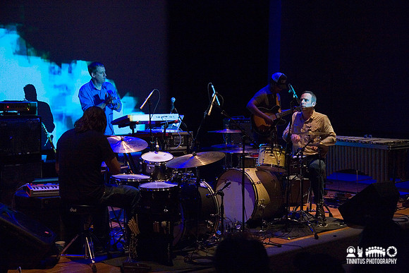 Tortoise in concert