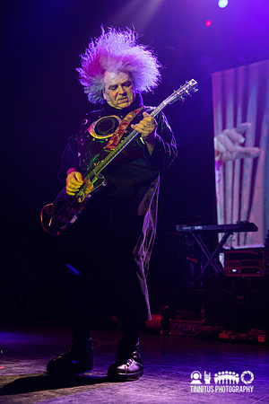 Melvins in concert