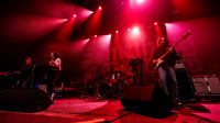 Mini Trees in concert