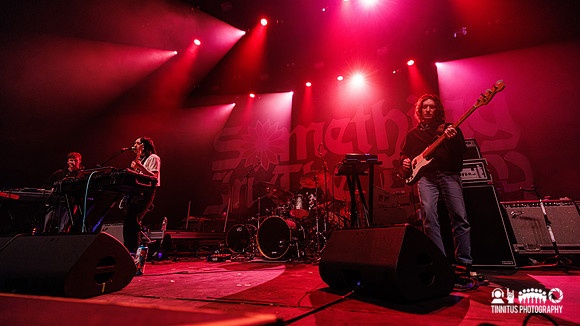 Mini Trees in concert