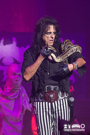 Alice Cooper in concert