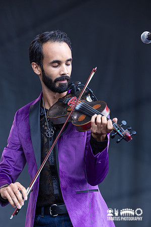 New Dangerfield in concert