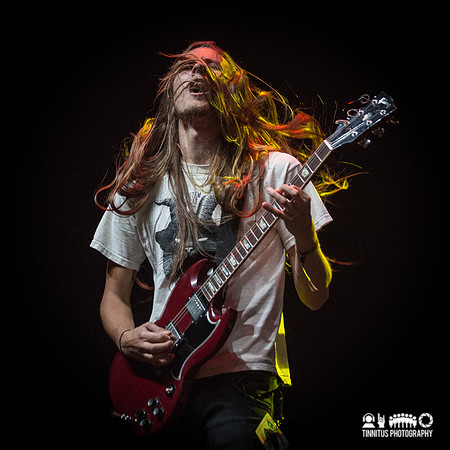 Elder in concert