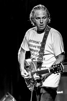 Lupo Citta in concert