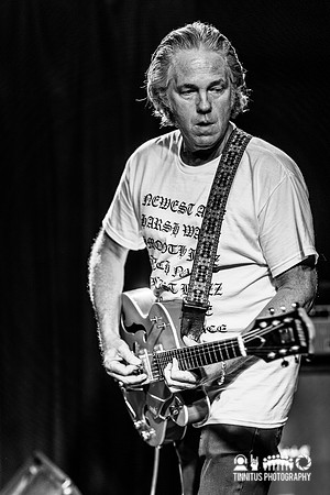 Lupo Citta in concert