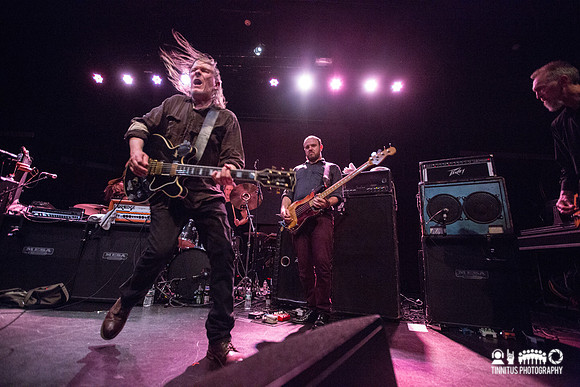 Swans in concert