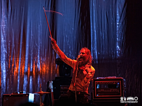 Grinderman in concert