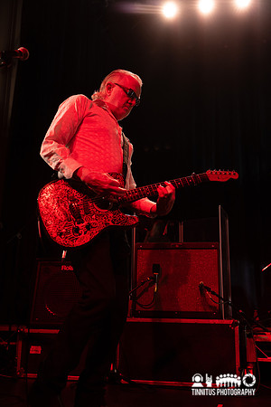 The Saints in concert
