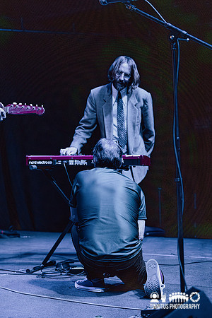The Moles in concert