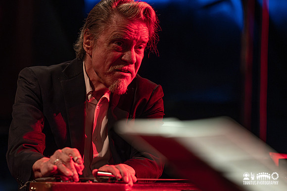 Swans in concert
