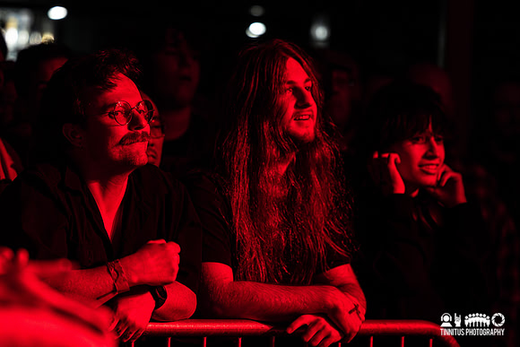 Swans in concert