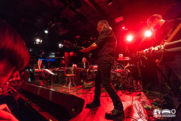 Swans in concert