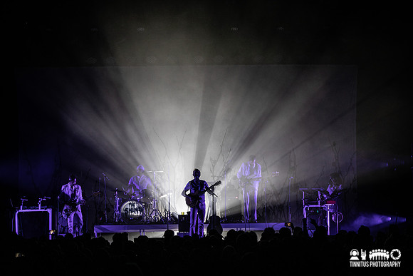 The Shins in concert