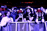 Devo in concert