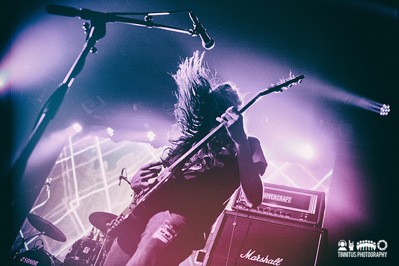 Elder in concert