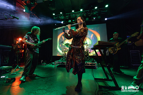 Ozric Tentacles in concert