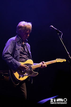 Wilco in concert