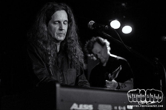 The Styrenes in concert