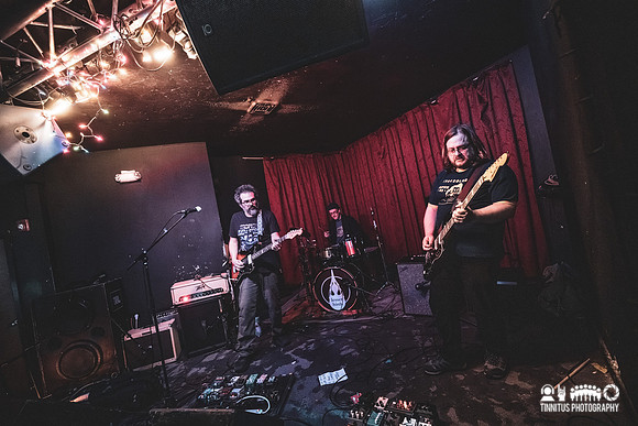 Osmia in concert