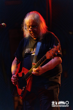 The Bevis Frond in concert