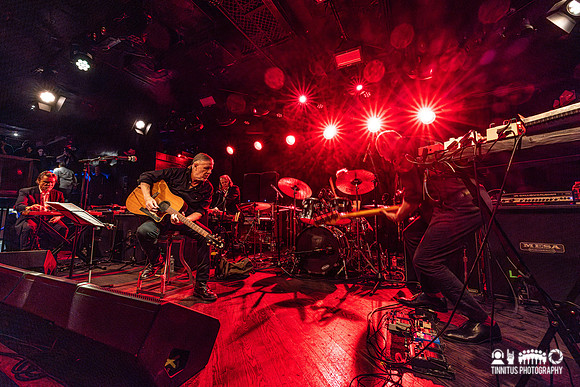 Swans in concert