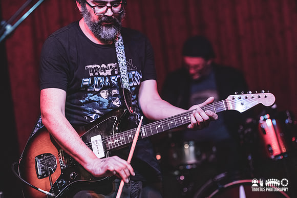 Osmia in concert