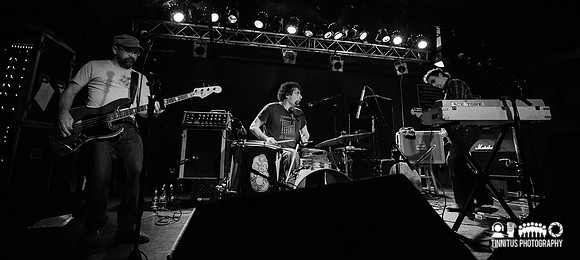 The Clean in concert